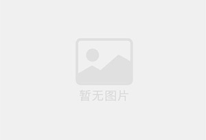 Y型过滤器